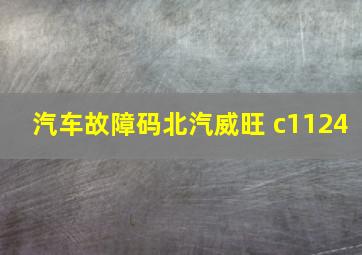 汽车故障码北汽威旺 c1124